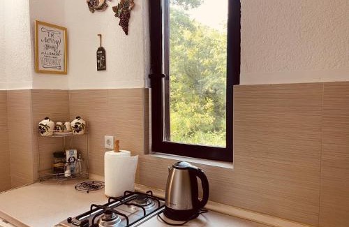 Virpazar Apartment | Apartments Four Countesses