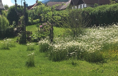 Gendorf Apartment | Apartments Gasser - vacation in the middle of nature