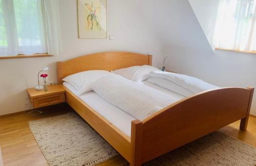 Voitsberg District Apartment | Apartments Grabenmühle