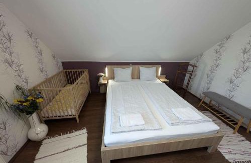 Tihany Apartment | Apartments in Tihany - Balaton 51544