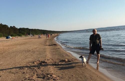Narva-Joesuu Apartment | Apartments in Vabaduse 72