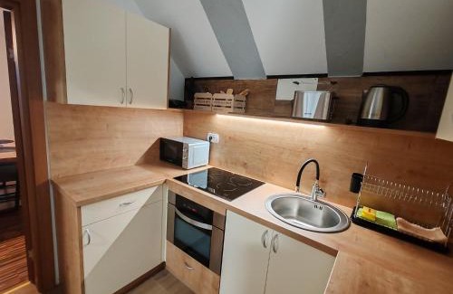 Moste Apartment | Apartments Malivojevič