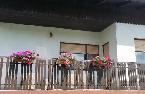 Ljubno Apartment | Apartments Novak
