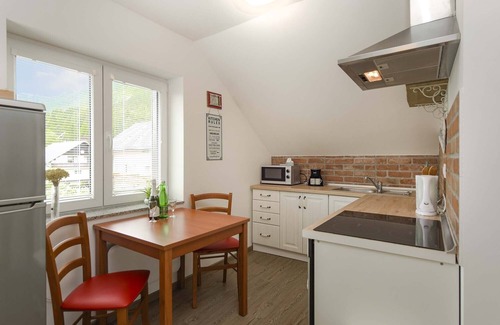 Zirovnica Apartment | Apartments Rikli Rodine near Bled