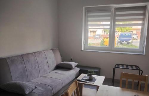 Otok Apartment | Apartments with parking space Otok, Slavonija - 24625