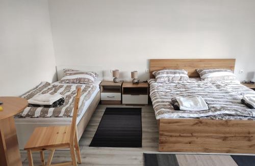 Otok Apartment | Apartments with parking space Otok, Slavonija - 24625