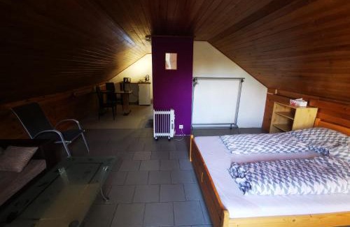 Zbraslav Apartment | Apartments Zbraslav