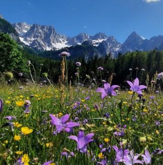 Kranjska Gora Apartment | Apartments Zlati Rog