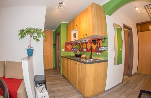 Kranjska Gora Apartment | APP HELENA* app no.1; in a heart of Triglav national park - big terasse