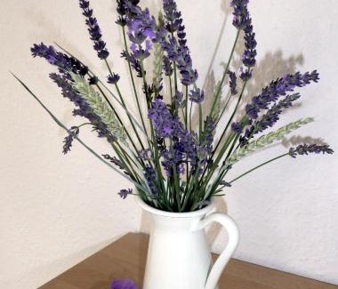 Oberhavel Apartment | App. Weisses Haus
