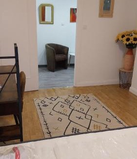 Saint-Etienne Apartment | Appart 80m2 tout équipé Châteaucreux Zénith Stade