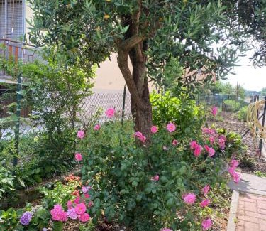 Caorso Apartment | Appartamento confortevole a Caorso