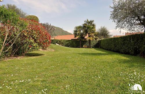 Roe Apartment | Appartamento il Moresine
