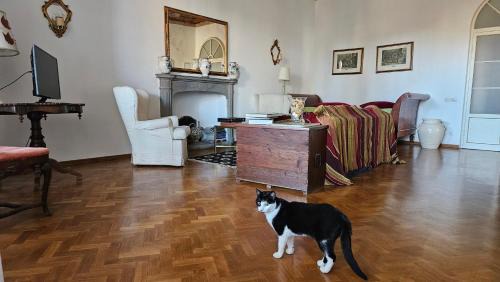 Siena Historical Center Apartment | Appartamento incantevole con loggia sui tetti