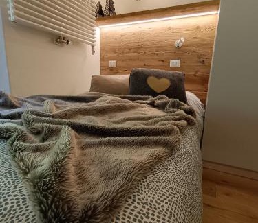 Palu Apartment | Appartamento Campiglio 2