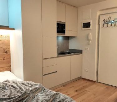 Palu Apartment | Appartamento Campiglio 2