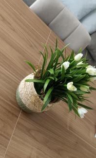 Bagheria Apartment | appartamento san felice