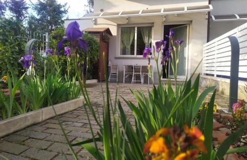 Province of Bologna Apartment | Appartamento Signorini Bolognaholidayhome - Parcheggio e Giardino privato - Holiday House Bologna Garden Parking