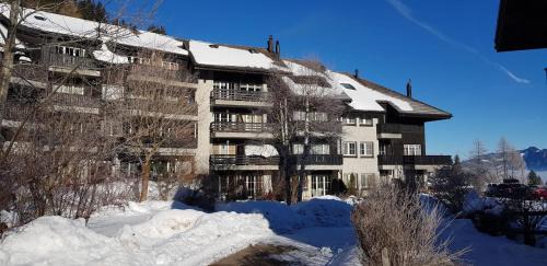 Moleson Apartment | Appartement avec terrasse ensoleillée