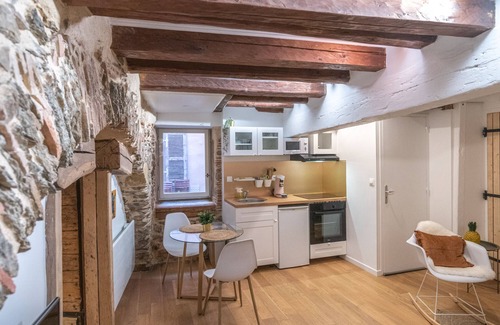 Vienne Apartment | Appartement Cosy Dans une Bâtisse du 17 ème Siècle - Chaleureux - Hypercentre