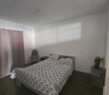 Chazelles-sur-Lyon Apartment | Appartement dans une ancienne usine