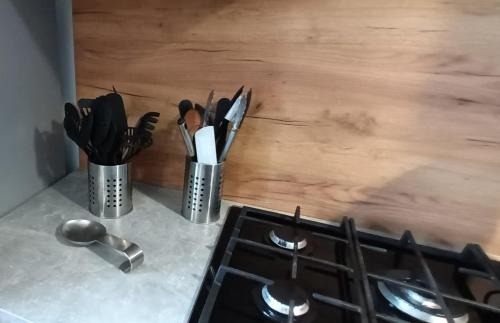 La Plagne-Tarentaise Apartment | appartement 5 personnes à la montagne