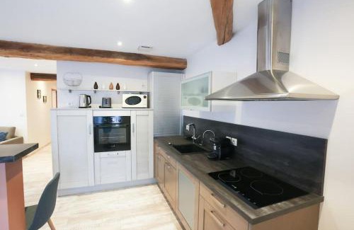 Saint-Just-la-Pendue Apartment | Appartement chaleureux cosy et climatisé Karine hospitality
