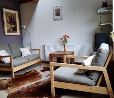Leeuwarden Apartment | Appartement In Leeuwarden Mit Privater Terrasse