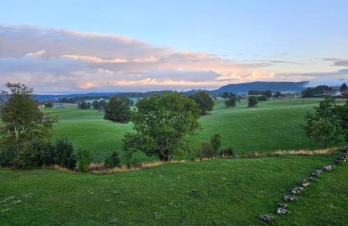 Les Rousses Apartment | Appartement Les rousses, Jura
