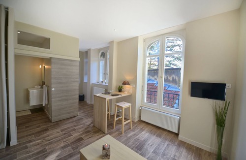 Besancon Apartment | Appartement Les Suites Du Parc - Studio Courbet