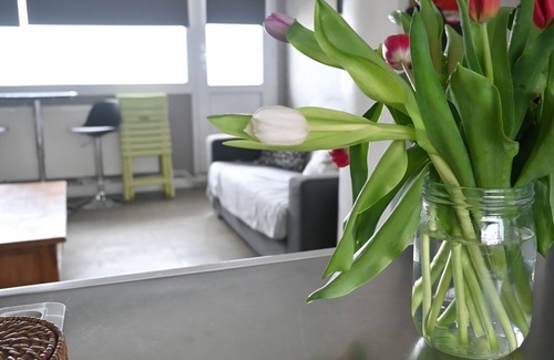 Malo-les-Bains Apartment | Appartement Lumineux, Calme et Spacieux Situé Face à la mer