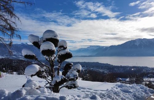 Jongny Apartment | Appartement moderne avec vue panoramique à Jongny proche de Montreux