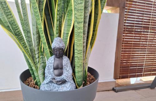 Calebasses Apartment | Appartement Pamplemousses