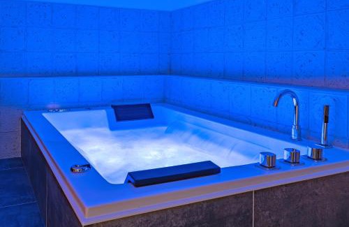 Frouzins Apartment | Appartement Premium jacuzzi terrasse climatisation