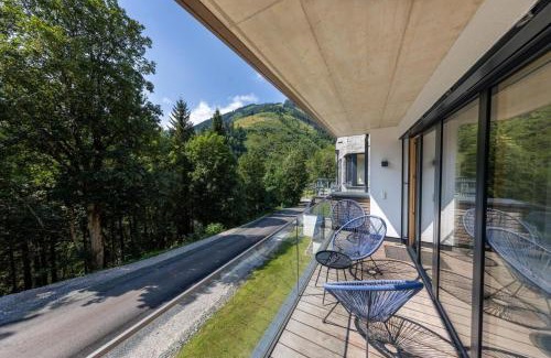 Viehhofen House | Appartement Schmittenblick Top 2