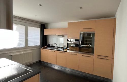 Sion Apartment | Appartement Tourbillon centre-ville