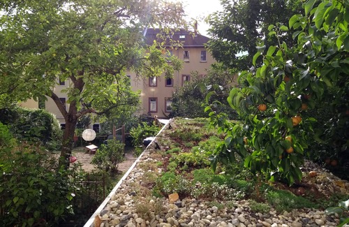 Outer Neustadt Apartment | Apple dream - the fine apartment in Dresden's Neustadt