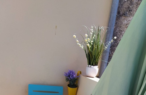 Saint Nazaire sur Charente Apartment | Appt T2 - : 3 stars * : near beach, îles Madame, ile d'Aix