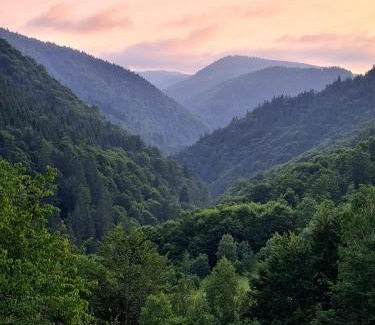 Margau House | APUSENI HOLIDAYS