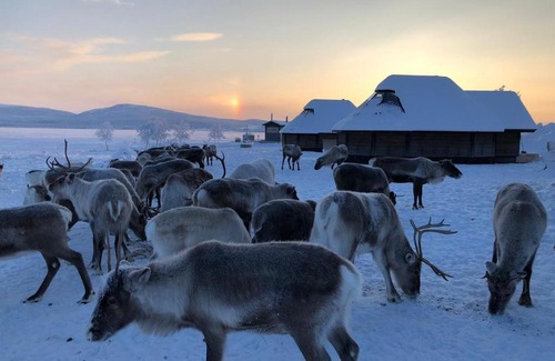 Enontekio Resort | Arctic Land Adventure Glass Igloos