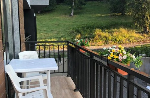 Bakurianis Andeziti Apartment | Area Park 16