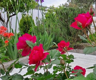 Ierapetra House | Arhondia House