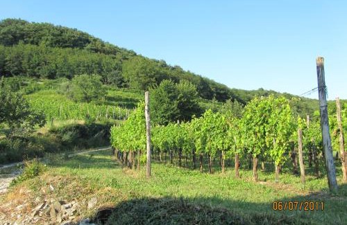 Crnice House | Arkade turizem