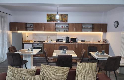 Dumbravita Bed & Breakfast | Armina's Residence 2