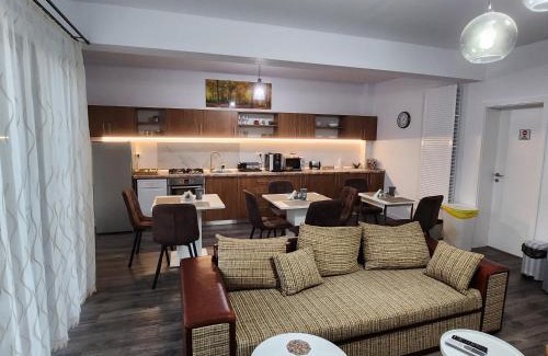 Dumbravita Bed & Breakfast | Armina's Residence 2