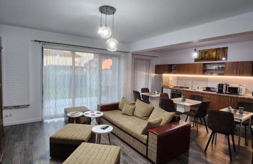 Dumbravita Bed & Breakfast | Armina's Residence 2