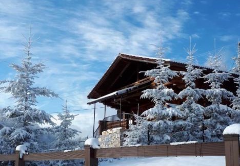 Dambovicioara Ski Chalet | Artem Chalet