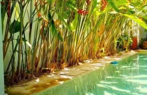 Zona Paseo Montejo House | Artist Designed Luxury Home with Pool in Centro!