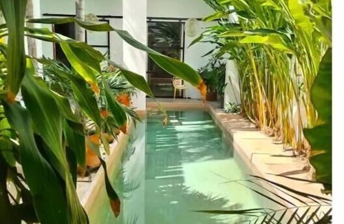 Zona Paseo Montejo House | Artist Designed Luxury Home with Pool in Centro!