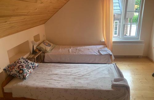 Plateliai House | Artless